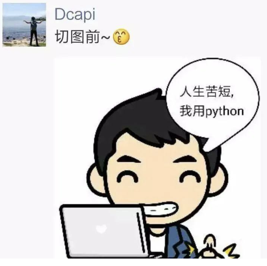 给博客 pengchao.vip 生成一个 网站 LOGO