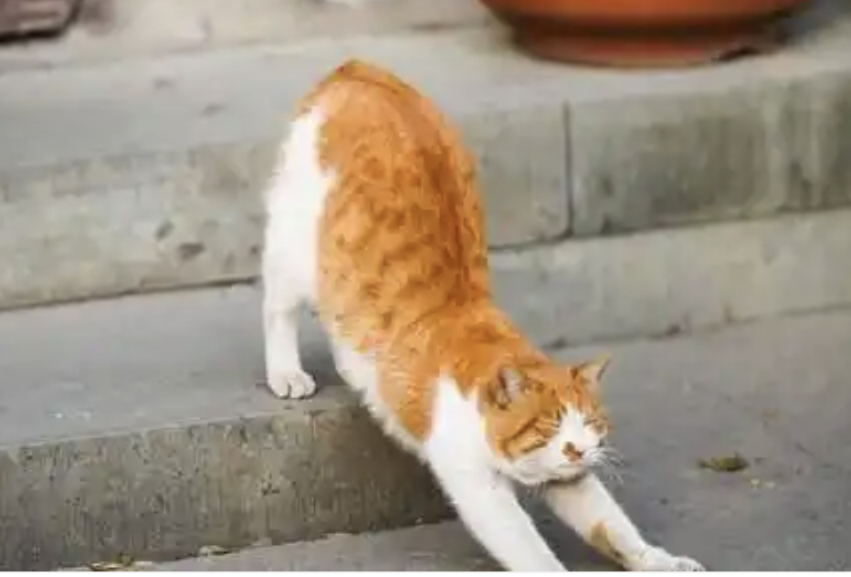 勤勉耕耘岁月静好，人生从容不虚此行